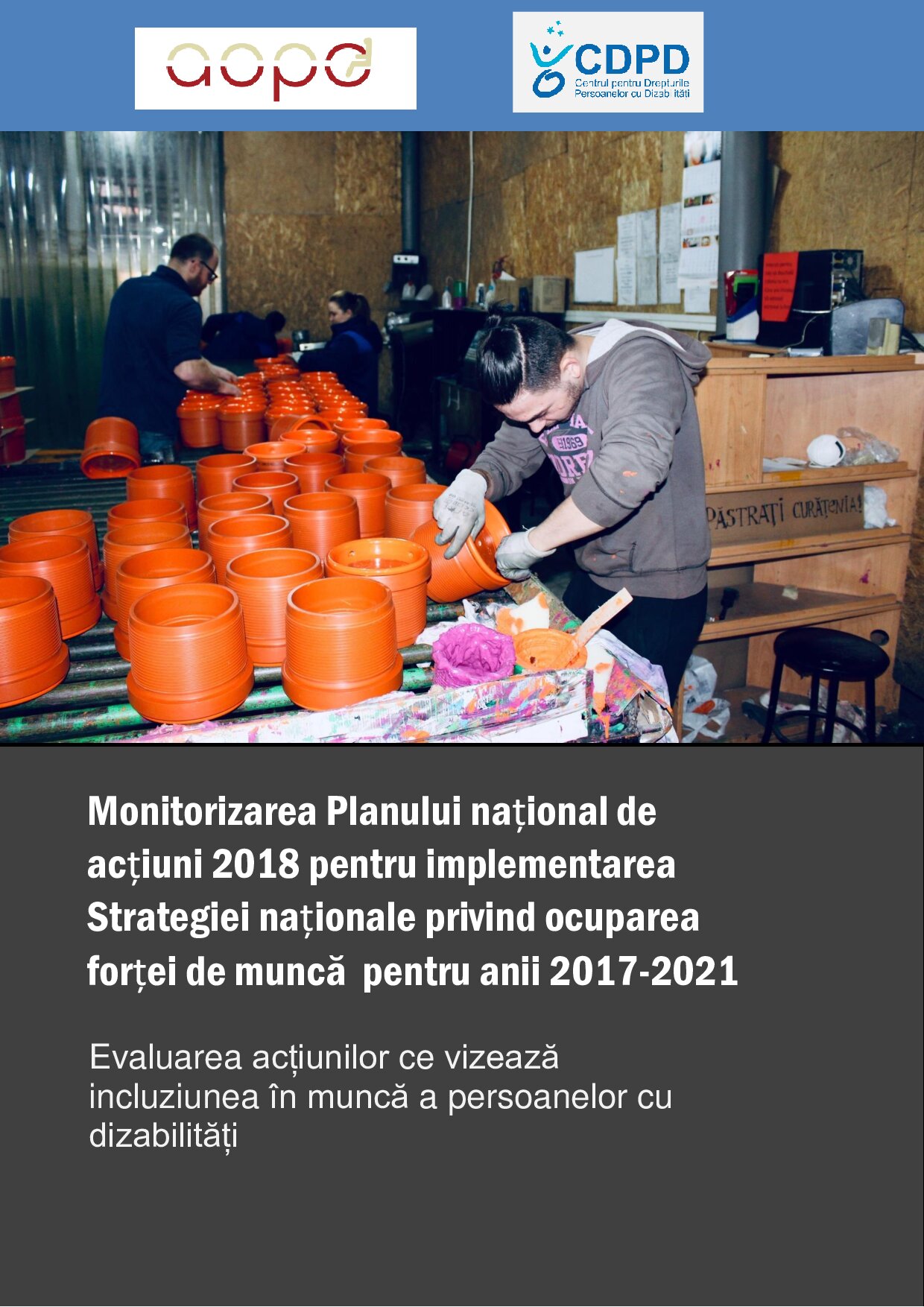 Monitorizarea Planului național de acțiuni 2018 pentru implementarea Strategiei naționale privind ocuparea forței de muncă pentru anii 2017-2021